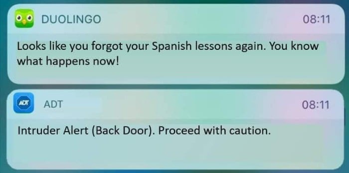 alt="Looks like you forgot your Spanish lesson again. You know what happens now!"