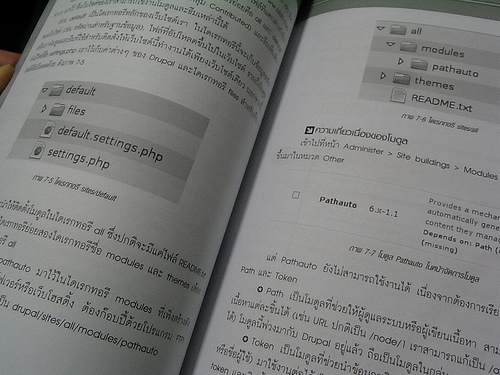 alt="Thai Drupal Book"