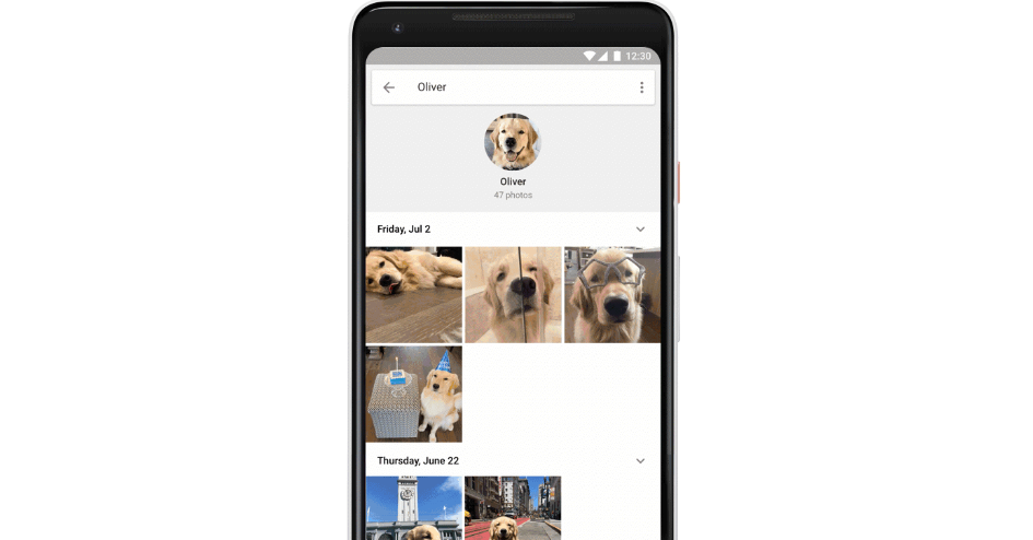 alt="Google Photos Pets Feature"