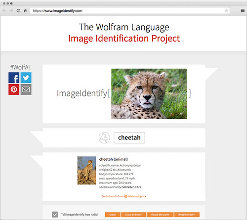 alt="Image Identification Project"