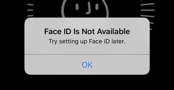 alt="Face ID"