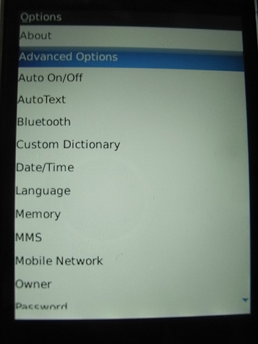 alt="BlackBerry Storm - Options"