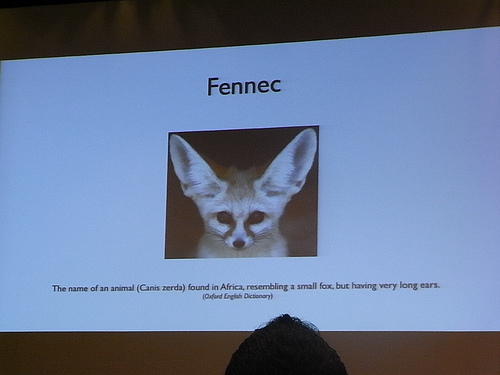 alt="Fennec"