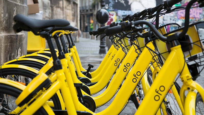 Ofo